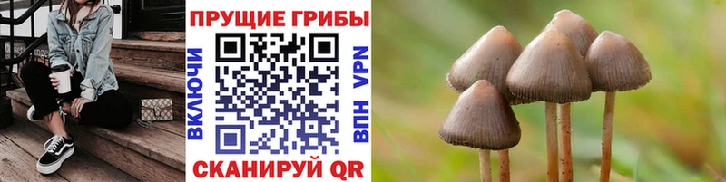 купить наркотики цена  Ельня  Галлюциногенные грибы Cubensis 