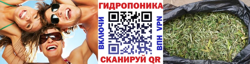 Конопля планчик Ельня
